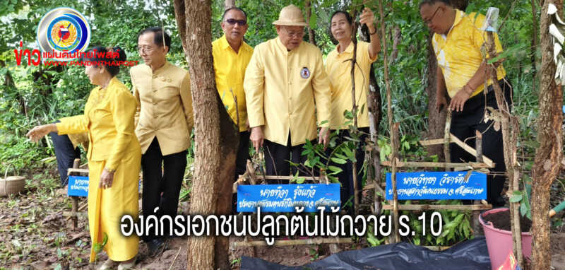 องค์กรเอกชนปลูกต้นไม้เพื่อความมั่นคงทางอาหารถวาย ร.10