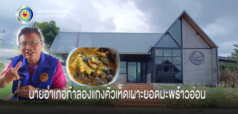ชวนชิมแกงคั่วเห็ดเผาะยอดมะพร้าวอ่อน อร่อยเด็ด จิ๊บกาแฟชมวิวก่อนเที่ยวดอกกระเจียว