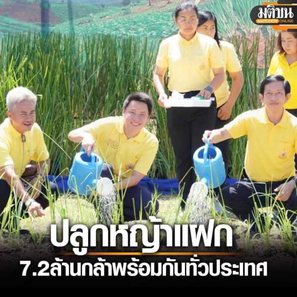พัฒที่ดินพังงาปลูกหญ้าแฝกเฉลิมพระเกียรติพระบาทสมเด็จพระเจ้าอยู่หัว เนื่องในโอกาสพระราชพิธีมหามงคลเฉลิมพระชนมพรรษา 6 รอบ