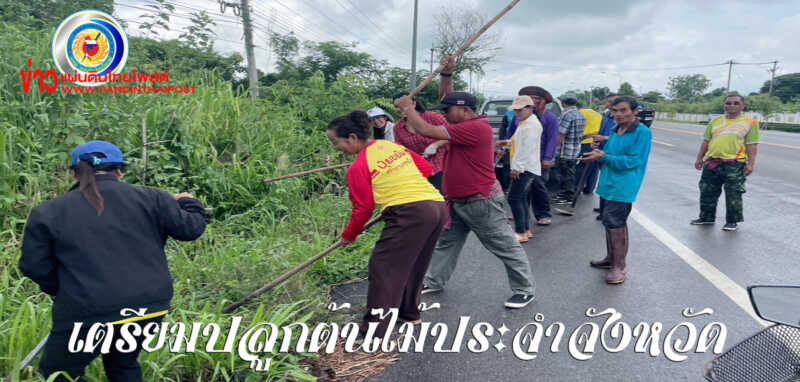 อำเภอกระนวน เตรียมพร้อมกิจกรรมปลูกต้นคูณอัตลักษณ์จังหวัดขอนแก่น
