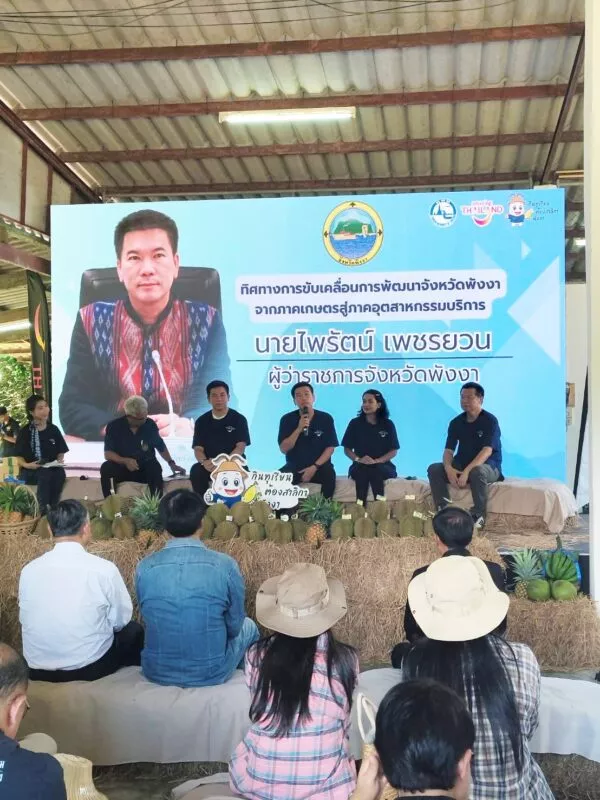 ททท.พังงา ยกระดับท่องเที่ยวเชิงเกษตร ปลุกกระแสเปิดฤดูกาลท่องเที่ยวสวนผลไม้ช่วงกรีนซีซั่นนี้ ชูแคมเปญ “กินทุเรียน ต้องสาลิกาพังงา” ปักหมุด 26 สวน 50 ที่พัก