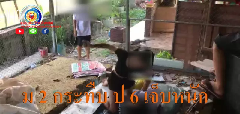 ม.2 ห้าว! เขม่นเด็ก ป.6 เคยขับรถชนกัน แค้นไม่จ่ายจิกหัวตบยับกระทืบซ้ำเจ็บหนัก ในโรงเรียน