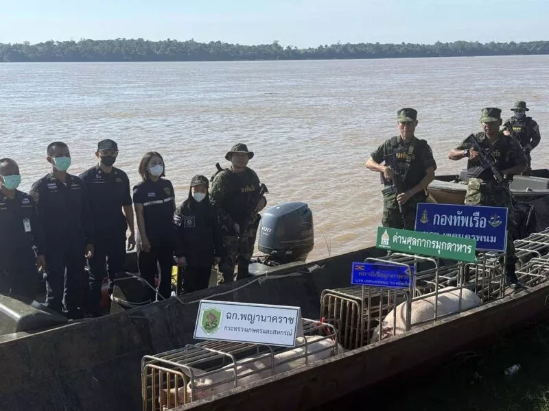 นรข.มุกดาหาร ร่วมหน่วยความมั่นคงยึดสุกรมีชีวิตลักลอบนำออกไปประเทศเพื่อนบ้าน