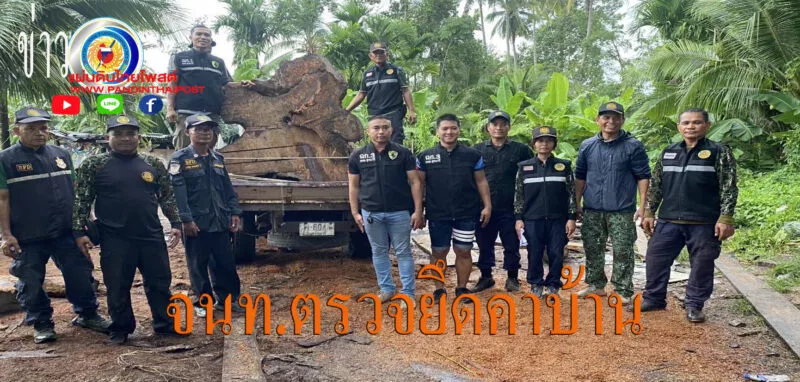 ทหาร-ป่าไม้ ผนึกกำลังบุกรวบ ช่างไม้เถื่อนลักลอบแปรรูป “ประดู่ยักษ์” คาบ้าน