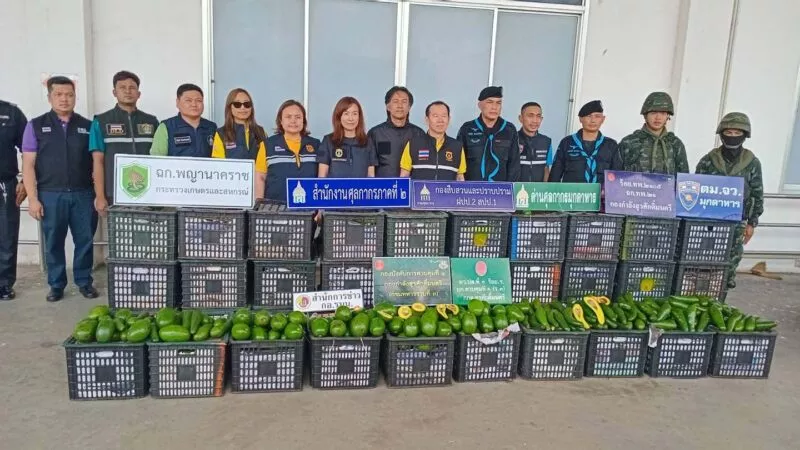 ศุลกากรมุกดาหารสนธิกำลังตรวจยึดอโวคาโด 260 ลัง น้ำหนัก 6500 กก มูลค่ากว่าล้านบาท