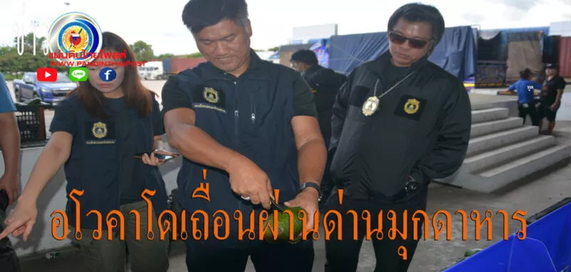 ศุลกากรสนธิกำลังตรวจยึดอโวคาโด 260 ลัง น้ำหนัก 6,500 กก มูลค่ากว่าล้านบาท