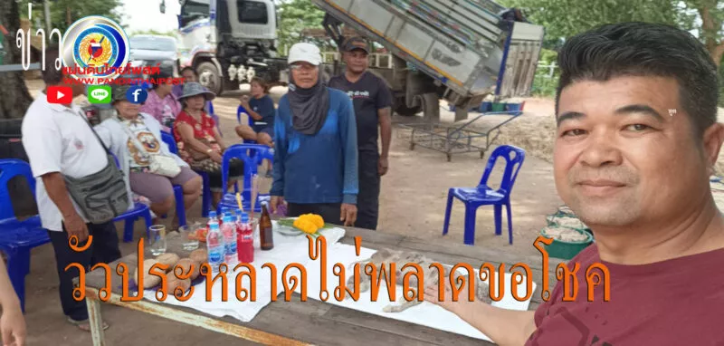 ฮือฮาชาวบ้านแห่ขอโชคลาภลูกวัวประหลาดมี1ตัว 2หัว 3หู 4ตา 4ขา