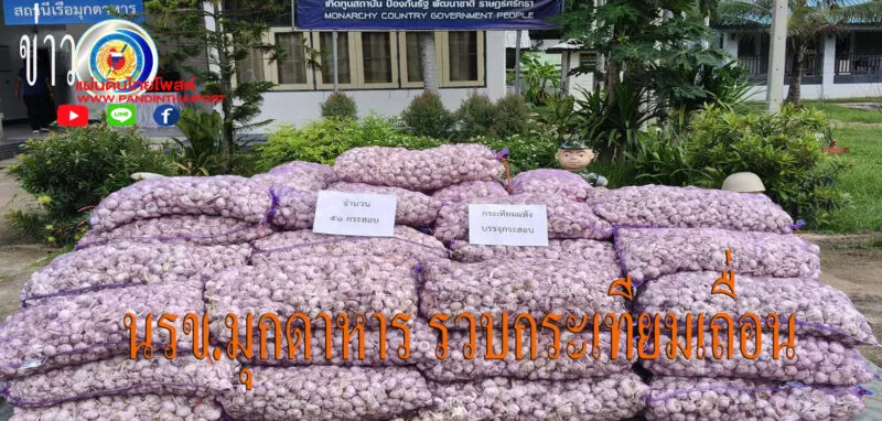 มุกดาหาร นรข สนธิกำลังยึดกระเทียม 1480 กก ลักลอบนำเข้าจากประเทศเพื่อนบ้าน