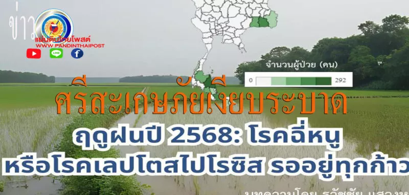  โรคฉี่หนู” ภัยร้ายแฝงน้ำท่วมขัง อึ้งวันเดียวพบป่วยสะสมทั่วไทยกว่า 3 พันราย คร่าชีวิตแล้ว 39 ราย แนะวิธีป้องกัน