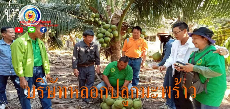มุกดาหาร กลุ่มเกษตรกรร้องบริษัทหลอกเข้าโครงการปลูกมะพร้าวแล้วไม่ได้เงิน