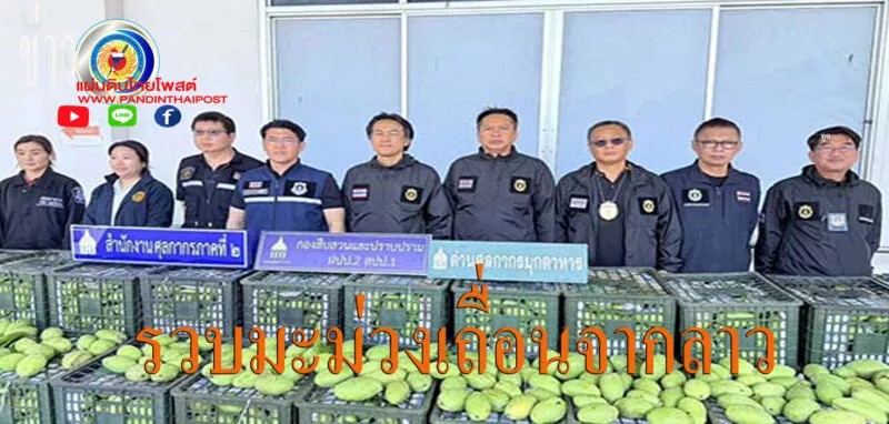 ศุลกากรภาค สนธิกำลังตรวจยึดมะม่วงเถื่อนเติมรถสิบล้อ