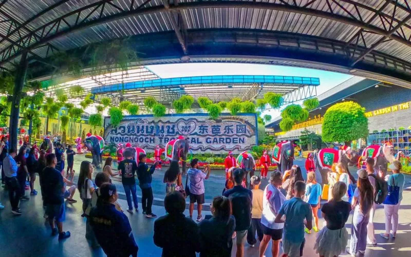 สวนนงนุชพัทยาจัดใหญ่ คริสต์มาสแฟนตาซีสุดอลังการ ช้างซานตาคลอส–พาเหรดแห่งความสุข