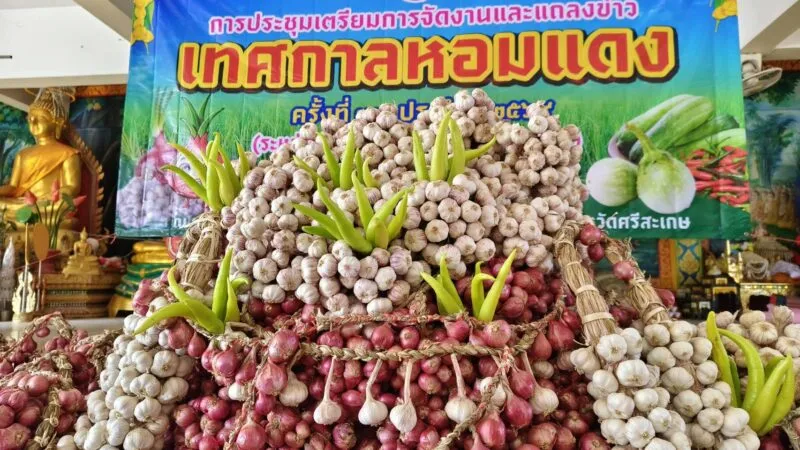 นอภ.วังหิน ชวนเที่ยวชมงาน “เทศกาลหอมแดงบ้านขุมคำ” ครั้งที่ 39 ระหว่าง 26–28 ก.พ.69