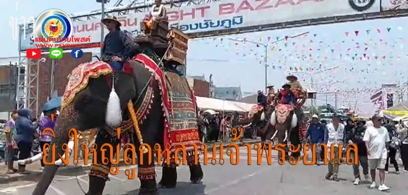 ลูกหลานเจ้าพระยาแลหลายหมื่นคน ร่วมใจแห่บายศรีใหญ่ ที่สุดในโลก