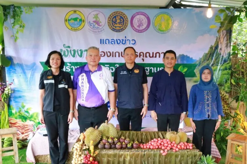 พังงาเปิดฤดูกาลทุเรียนมีดแรก 2569 ชู “เมืองเกษตรคุณภาพ” สร้างเศรษฐกิจใหม่จากฐานราก