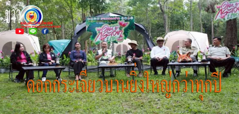 ชัยภูมิแถลงข่าวเปิดเทศกาลท่องเที่ยวดอกกระเจียวบาน ประจำปี 2569