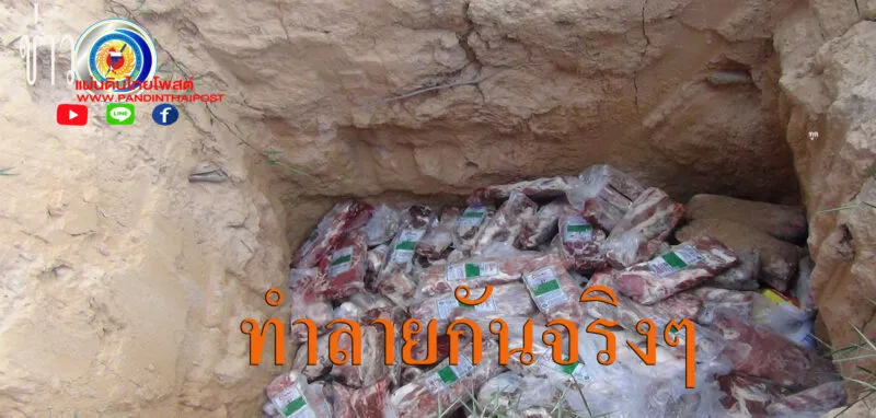 กักกันสัตว์มุกดาหาร ทำลายซากกระบือแช่แข็ง จำนวน 36 กล่อง น้ำหนักรวม 720 กิโลกรัม