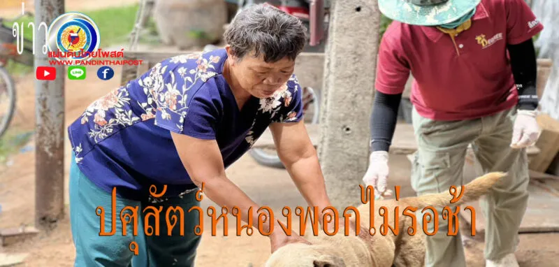 พบสุนัขหัวบวก ในพื้นที่ตำบลท่าสีดา