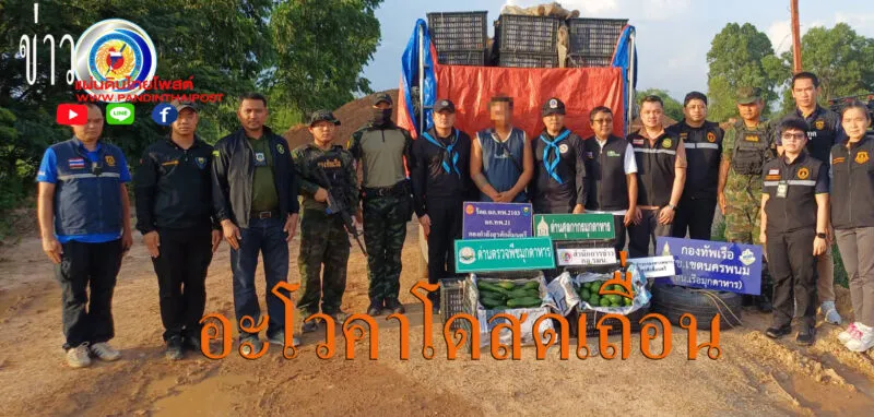ทหารพราน 2103 สนธิกำลังตรวจยึดอะโวคาโดสด 2.7 ตัน