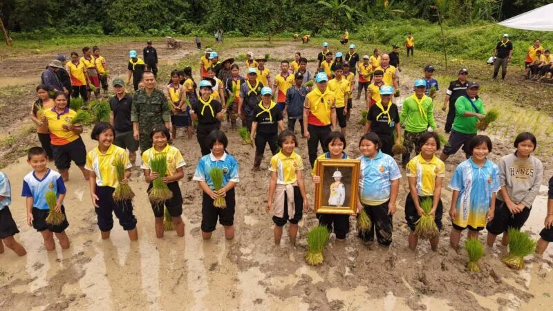 สังขละบุรี ร่วมแรงดำนา “นารวม” สร้างความมั่นคงทางอาหาร สืบสานวิถีชุมชน