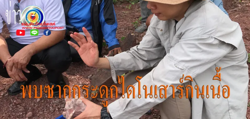 ชัยภูมิฮือฮาพบซากกระดูกไดโนเสาร์กินเนื้ออายุกว่า130ล้านปีแห่งใหม่เป็นพี่นาคาไททันกว่า20ล้านปี