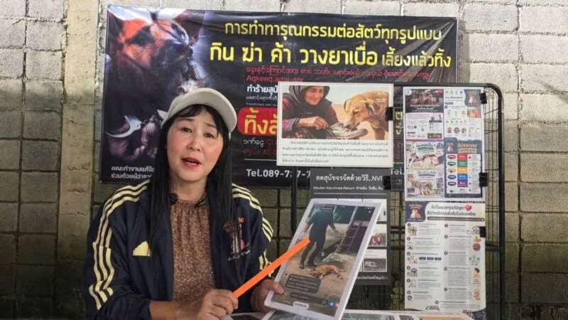 เดอะโฮปสงขลา จี้ ผู้ว่าฯ นราธิวาส ตรวจสอบ ทต.รือเสาะ ร่วมมือปศุสัตว์ กวาดต้อนจับสุนัขจรจัด ไร้ศูนย์พักพิงมาตรฐาน