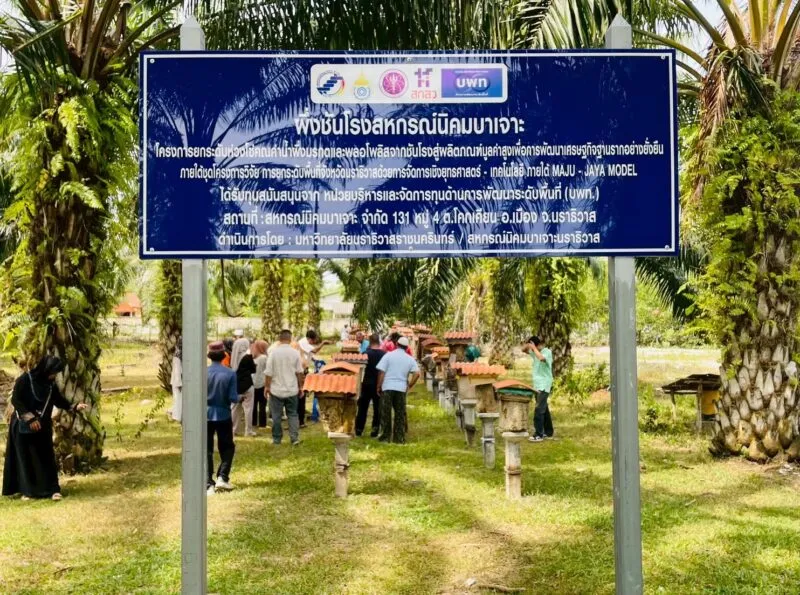 มนร. ปั้น “น้ำผึ้งมรกตนราธิวาส” สู่ผลิตภัณฑ์มูลค่าสูง เปลี่ยนน้ำผึ้งพื้นถิ่นเป็นผงชงดื่มผสมคอลลาเจน–แคปซูล เปิดทางครัวเรือนยากจนสร้างรายได้