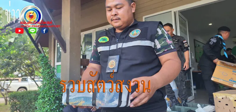 บก ปทส บูรณาการตรวจสอบงูสวยงามและกิ้งก่า สัตว์ป่าควบคุม